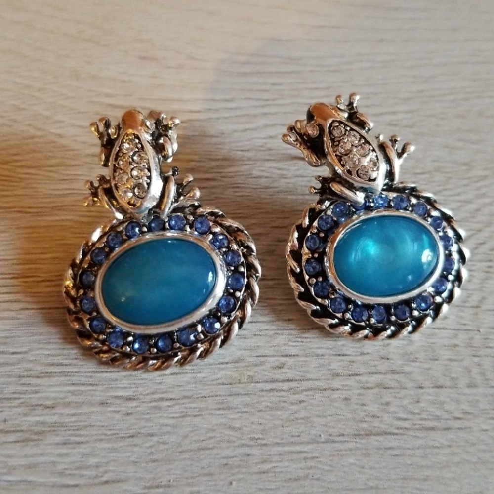 Southern Style Earrings